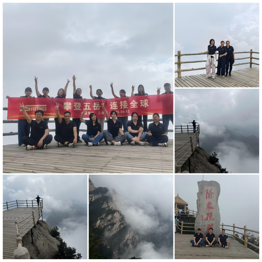 Summiting Success
